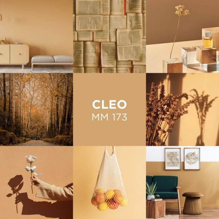 Novacolor MATmotion - sisustusmaali trendiväri 2021 - Cleo MM 173