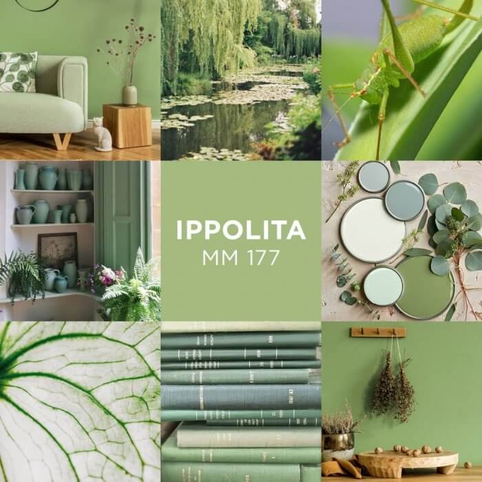 Novacolor MATmotion - sisustusmaali trendiväri 2021 - Ippolita MM 177